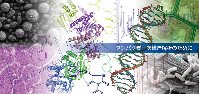 たんぱく質一次構造解析のために